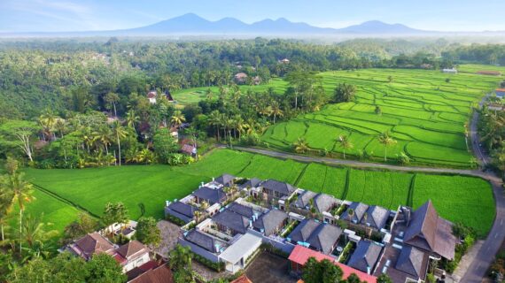 Enjoy The Rice Field View Ubud From Your Room, Asvara Villa Create an Unforgettable Honeymoon Experience.